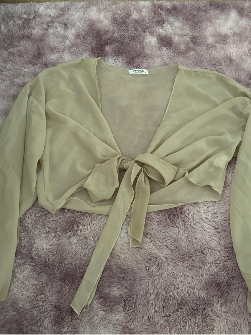 Beige Sheer Tie-Front Women's Top